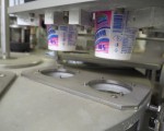 Cream pasteurization and packing line Milking / ATIP #9