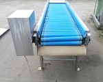 Transporter rolkowy Gillenkirch RVS-2500-500-50 #3